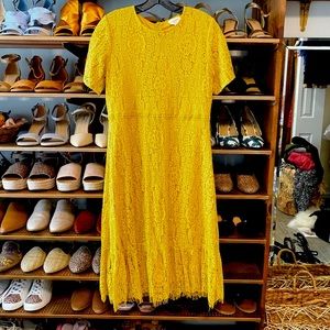 Orange Creek Yellow Lace Midi Modest Short Sleeve Dress